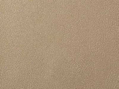 Leather 1109